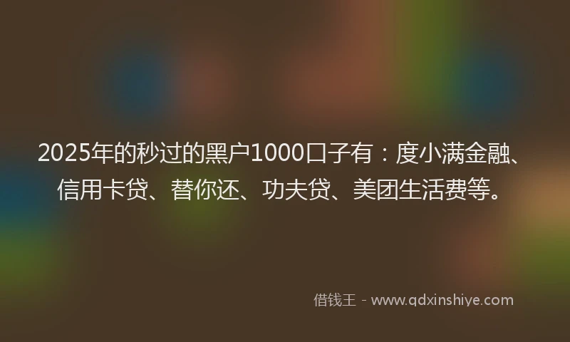 2025年的秒过的黑户1000口子有：度小满金融、信用卡贷、替你还、功夫贷、美团生活费等。