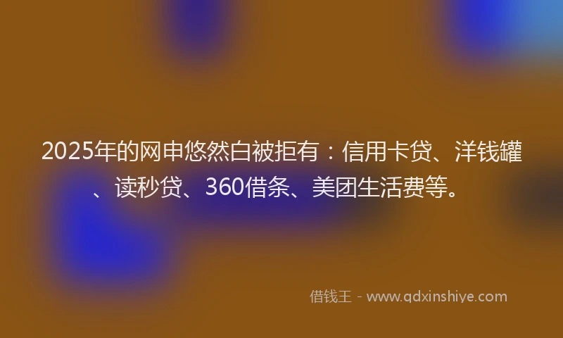 2025年的网申悠然白被拒有：信用卡贷、洋钱罐、读秒贷、360借条、美团生活费等。