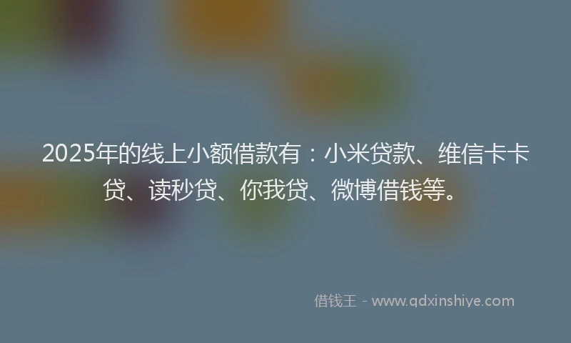 2025年的线上小额借款有：小米贷款、维信卡卡贷、读秒贷、你我贷、微博借钱等。