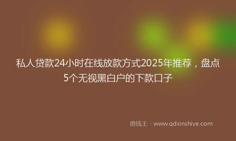 私人贷款24小时在线放款方式2025年推荐，盘点5个无视黑白户的下款口子
