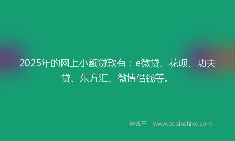 2025年的网上小额贷款有：e微贷、花呗、功夫贷、东方汇、微博借钱等。