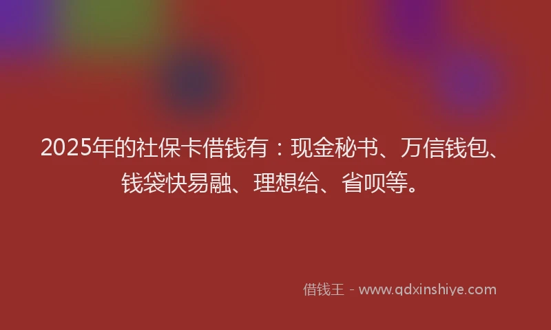 2025年的社保卡借钱有：现金秘书、万信钱包、钱袋快易融、理想给、省呗等。