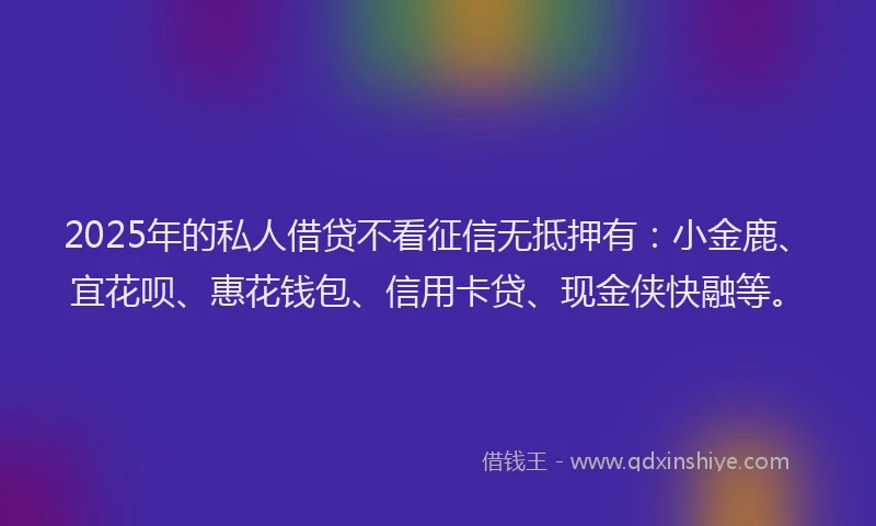 2025年的私人借贷不看征信无抵押有：小金鹿、宜花呗、惠花钱包、信用卡贷、现金侠快融等。