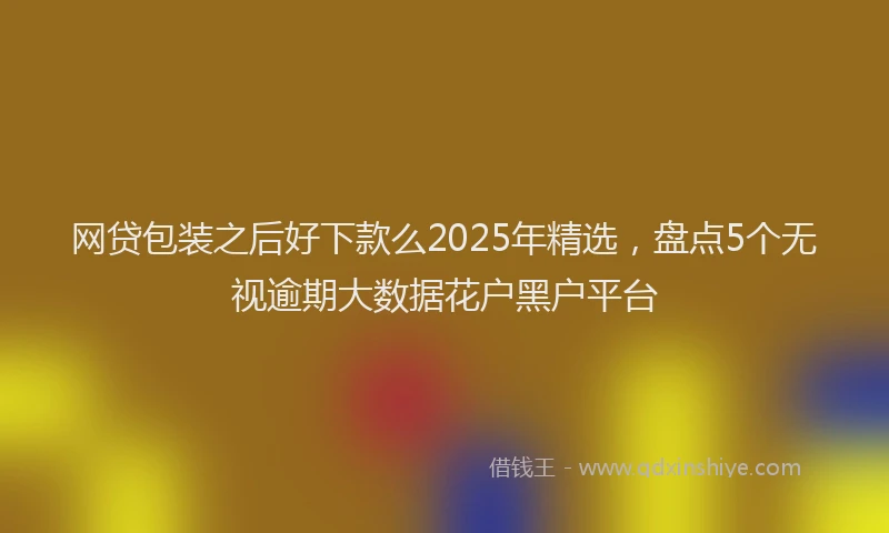 网贷包装之后好下款么2025年精选，盘点5个无视逾期大数据花户黑户平台