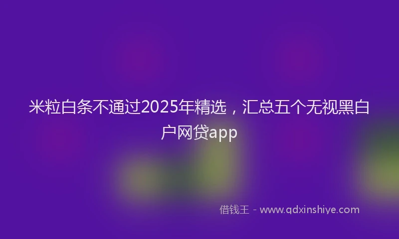 米粒白条不通过2025年精选，汇总五个无视黑白户网贷app