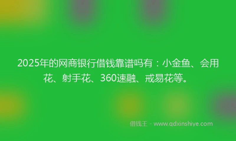 2025年的网商银行借钱靠谱吗有：小金鱼、会用花、射手花、360速融、戒易花等。