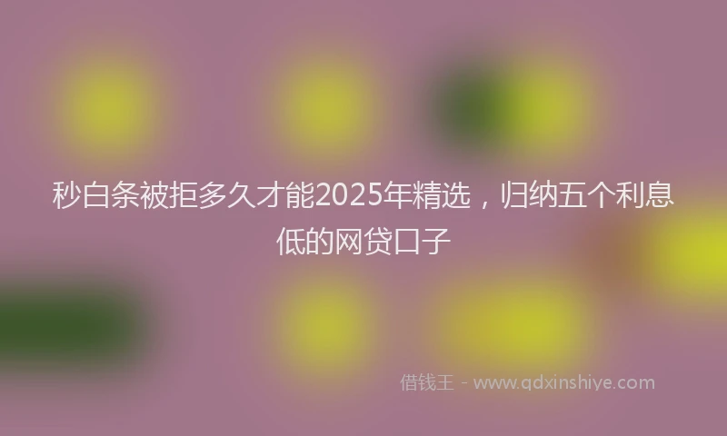 秒白条被拒多久才能2025年精选，归纳五个利息低的网贷口子