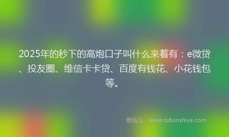 2025年的秒下的高炮口子叫什么来着有：e微贷、投友圈、维信卡卡贷、百度有钱花、小花钱包等。