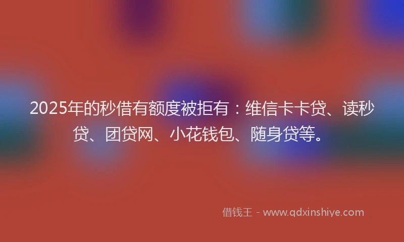 2025年的秒借有额度被拒有：维信卡卡贷、读秒贷、团贷网、小花钱包、随身贷等。