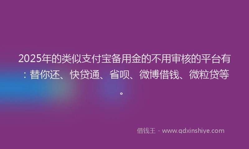 2025年的类似支付宝备用金的不用审核的平台有：替你还、快贷通、省呗、微博借钱、微粒贷等。