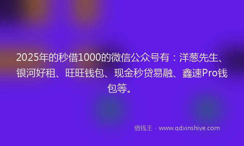 2025年的秒借1000的微信公众号有：洋葱先生、银河好租、旺旺钱包、现金秒贷易融、鑫速Pro钱包等。