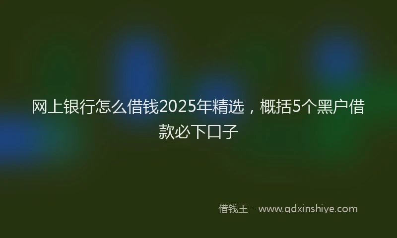 网上银行怎么借钱2025年精选，概括5个黑户借款必下口子