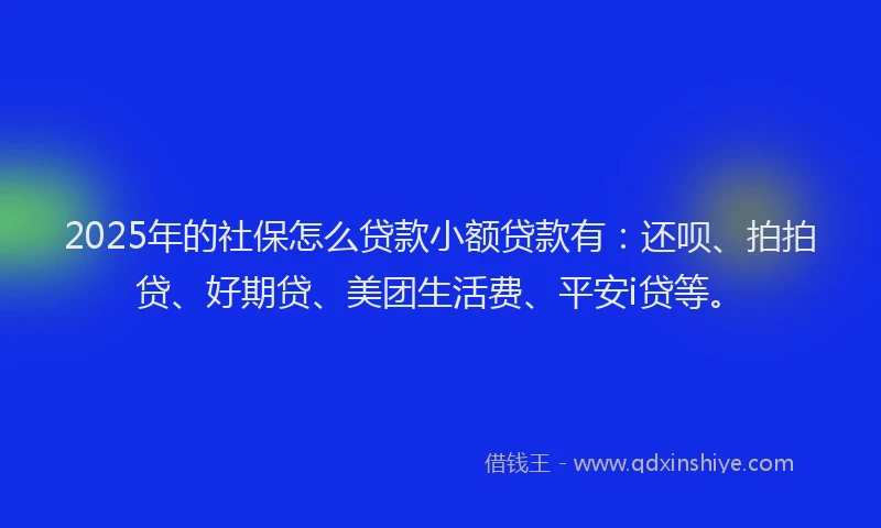 2025年的社保怎么贷款小额贷款有：还呗、拍拍贷、好期贷、美团生活费、平安i贷等。