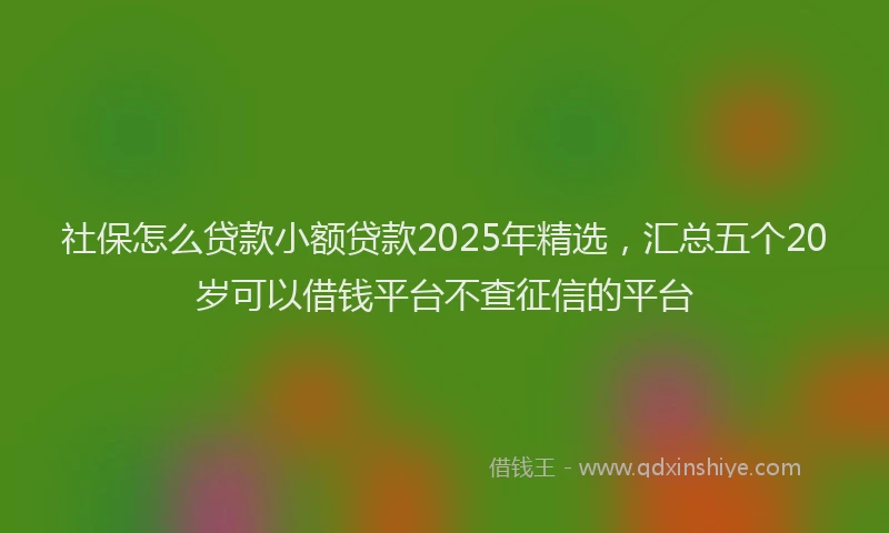 社保怎么贷款小额贷款2025年精选，汇总五个20岁可以借钱平台不查征信的平台