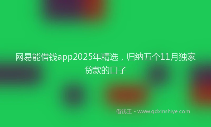 网易能借钱app2025年精选，归纳五个11月独家贷款的口子