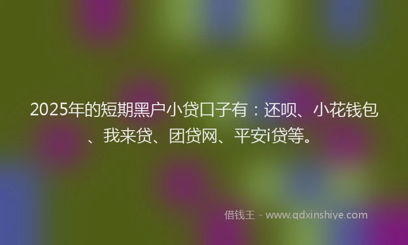 2025年的短期黑户小贷口子有：还呗、小花钱包、我来贷、团贷网、平安i贷等。