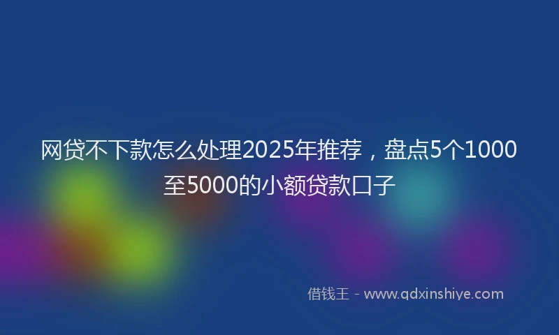 网贷不下款怎么处理2025年推荐，盘点5个1000至5000的小额贷款口子