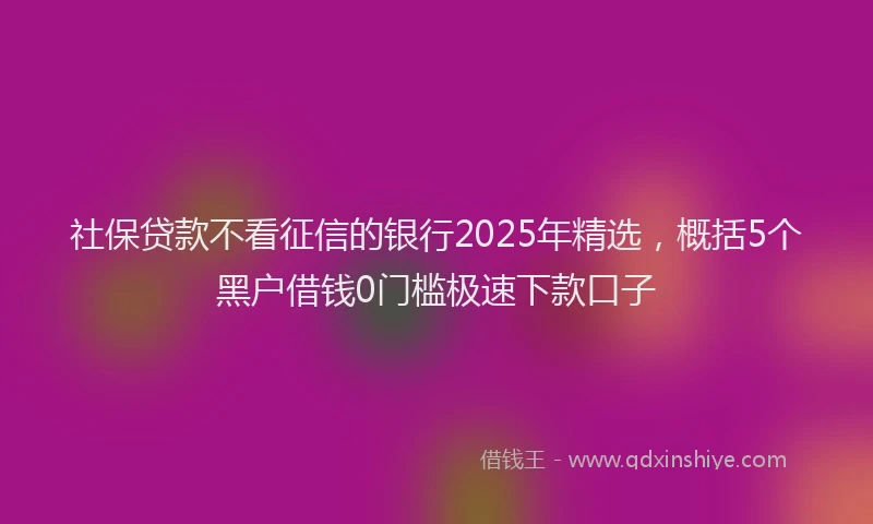 社保贷款不看征信的银行2025年精选，概括5个黑户借钱0门槛极速下款口子