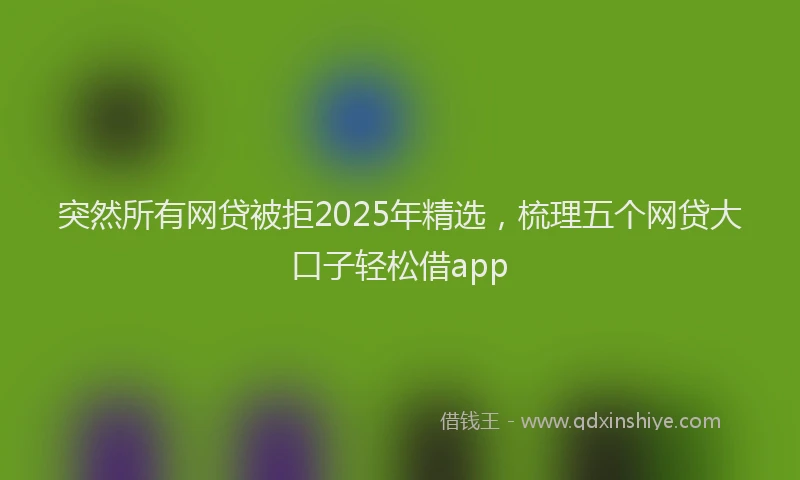 突然所有网贷被拒2025年精选，梳理五个网贷大口子轻松借app