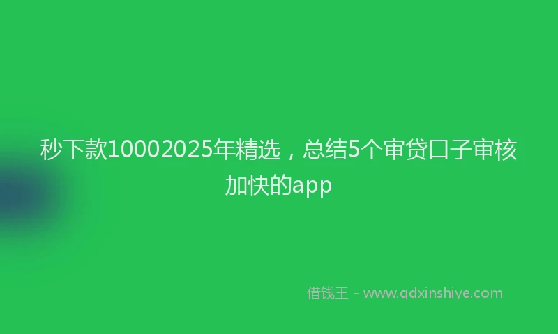 秒下款10002025年精选，总结5个审贷口子审核加快的app
