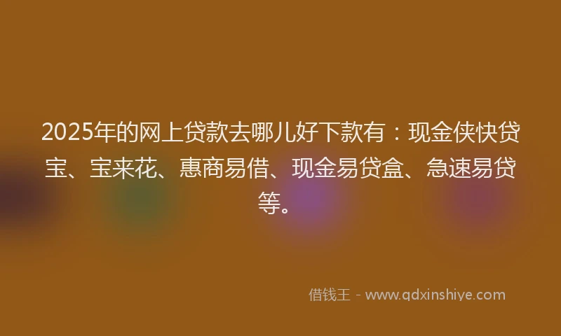 2025年的网上贷款去哪儿好下款有：现金侠快贷宝、宝来花、惠商易借、现金易贷盒、急速易贷等。