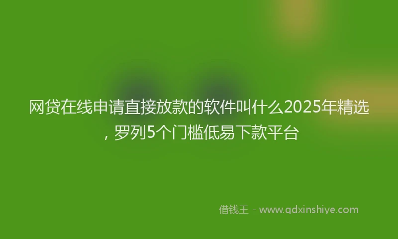 网贷在线申请直接放款的软件叫什么2025年精选，罗列5个门槛低易下款平台