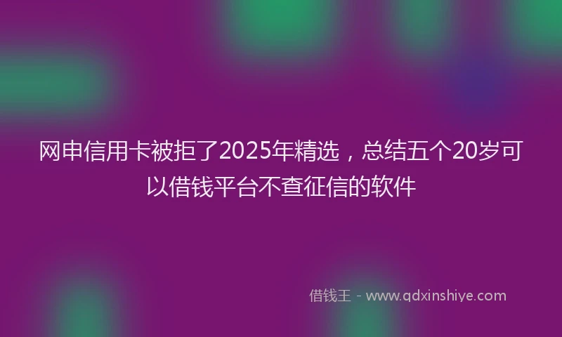 网申信用卡被拒了2025年精选，总结五个20岁可以借钱平台不查征信的软件