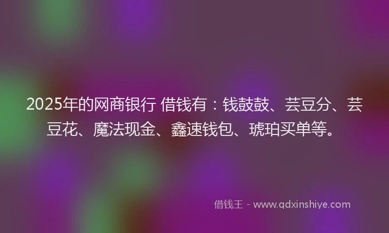 2025年的网商银行 借钱有：钱鼓鼓、芸豆分、芸豆花、魔法现金、鑫速钱包、琥珀买单等。
