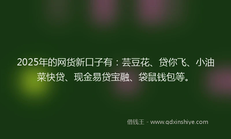 2025年的网货新口子有：芸豆花、贷你飞、小油菜快贷、现金易贷宝融、袋鼠钱包等。