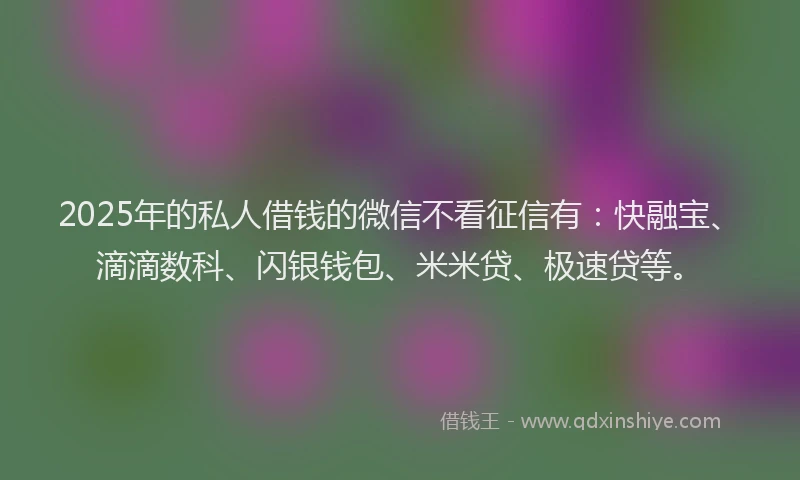 2025年的私人借钱的微信不看征信有：快融宝、滴滴数科、闪银钱包、米米贷、极速贷等。