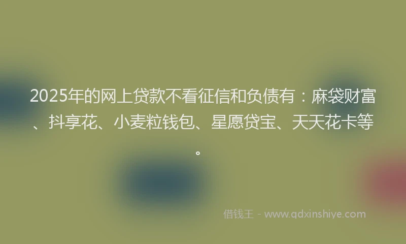 2025年的网上贷款不看征信和负债有：麻袋财富、抖享花、小麦粒钱包、星愿贷宝、天天花卡等。