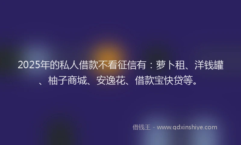2025年的私人借款不看征信有：萝卜租、洋钱罐、柚子商城、安逸花、借款宝快贷等。