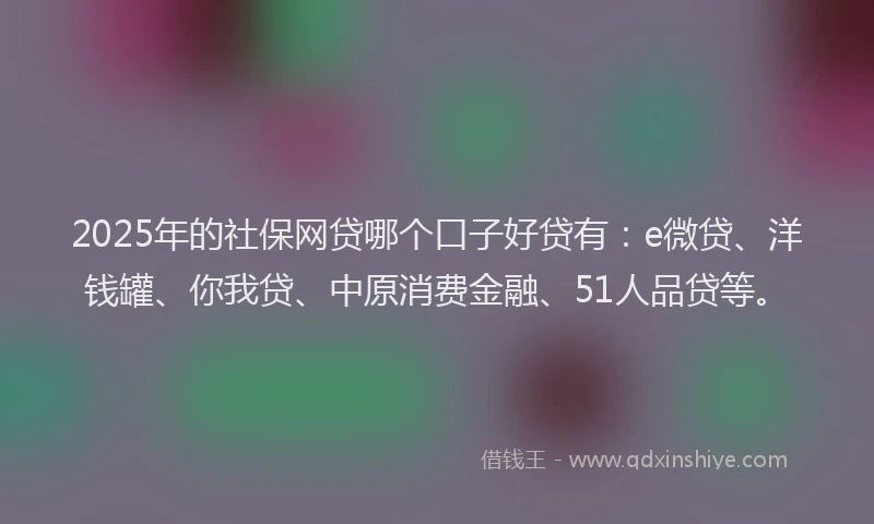 2025年的社保网贷哪个口子好贷有：e微贷、洋钱罐、你我贷、中原消费金融、51人品贷等。