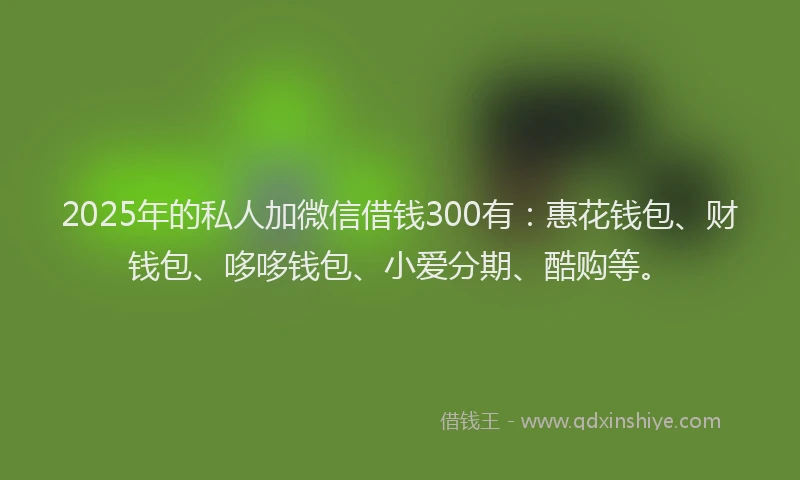 2025年的私人加微信借钱300有：惠花钱包、财钱包、哆哆钱包、小爱分期、酷购等。