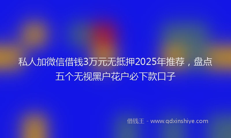 私人加微信借钱3万元无抵押2025年推荐，盘点五个无视黑户花户必下款口子