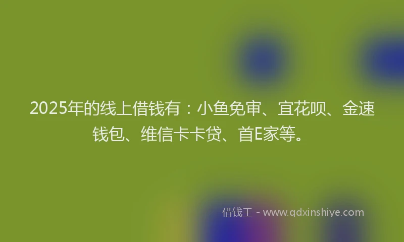 2025年的线上借钱有：小鱼免审、宜花呗、金速钱包、维信卡卡贷、首E家等。