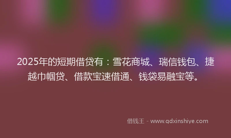 2025年的短期借贷有：雪花商城、瑞信钱包、捷越巾帼贷、借款宝速借通、钱袋易融宝等。