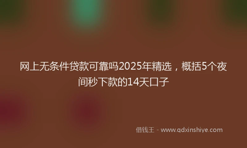 网上无条件贷款可靠吗2025年精选，概括5个夜间秒下款的14天口子