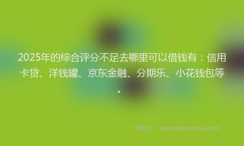 2025年的综合评分不足去哪里可以借钱有：信用卡贷、洋钱罐、京东金融、分期乐、小花钱包等。