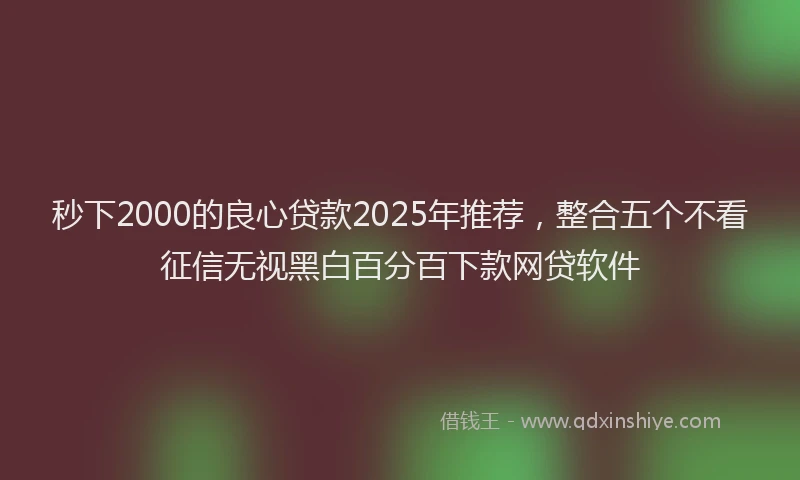 秒下2000的良心贷款2025年推荐，整合五个不看征信无视黑白百分百下款网贷软件