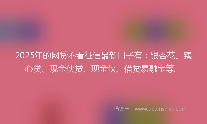 2025年的网贷不看征信最新口子有：银杏花、臻心贷、现金侠贷、现金侠、借贷易融宝等。