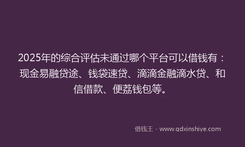 2025年的综合评估未通过哪个平台可以借钱有：现金易融贷途、钱袋速贷、滴滴金融滴水贷、和信借款、便荔钱包等。