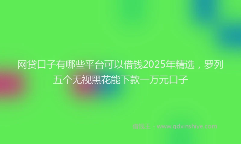 网贷口子有哪些平台可以借钱2025年精选，罗列五个无视黑花能下款一万元口子