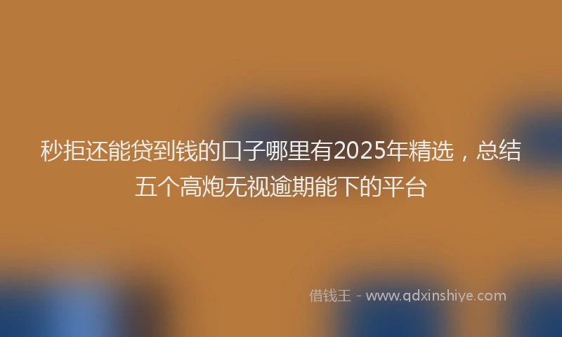 秒拒还能贷到钱的口子哪里有2025年精选，总结五个高炮无视逾期能下的平台