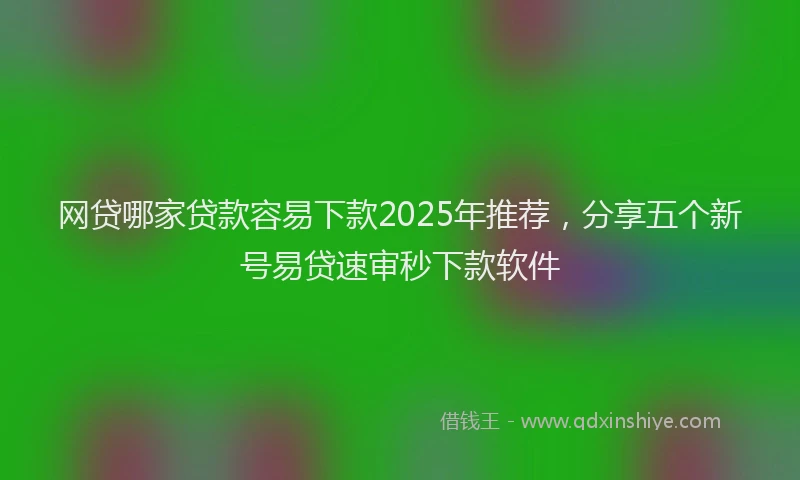 网贷哪家贷款容易下款2025年推荐，分享五个新号易贷速审秒下款软件