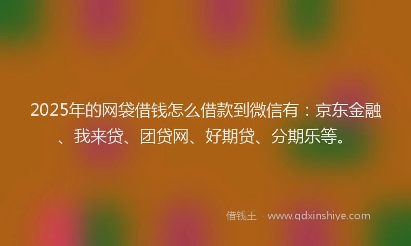 2025年的网袋借钱怎么借款到微信有：京东金融、我来贷、团贷网、好期贷、分期乐等。