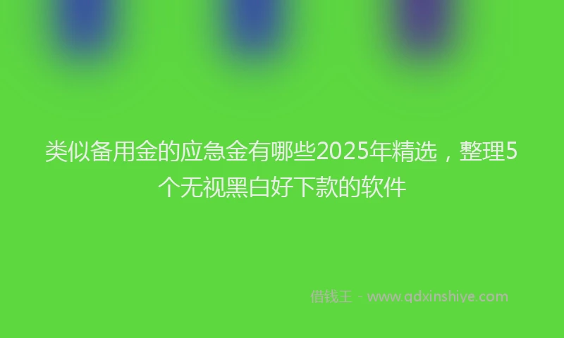 类似备用金的应急金有哪些2025年精选，整理5个无视黑白好下款的软件
