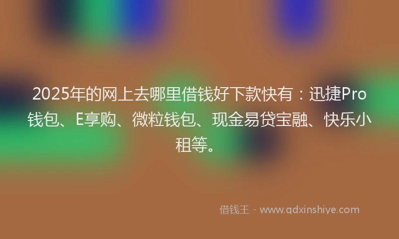 2025年的网上去哪里借钱好下款快有：迅捷Pro钱包、E享购、微粒钱包、现金易贷宝融、快乐小租等。