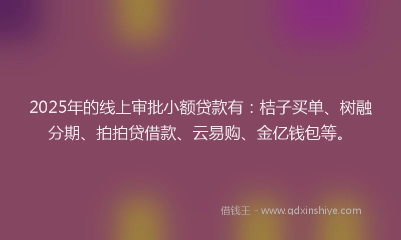 2025年的线上审批小额贷款有：桔子买单、树融分期、拍拍贷借款、云易购、金亿钱包等。