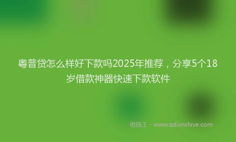 粤普贷怎么样好下款吗2025年推荐，分享5个18岁借款神器快速下款软件
